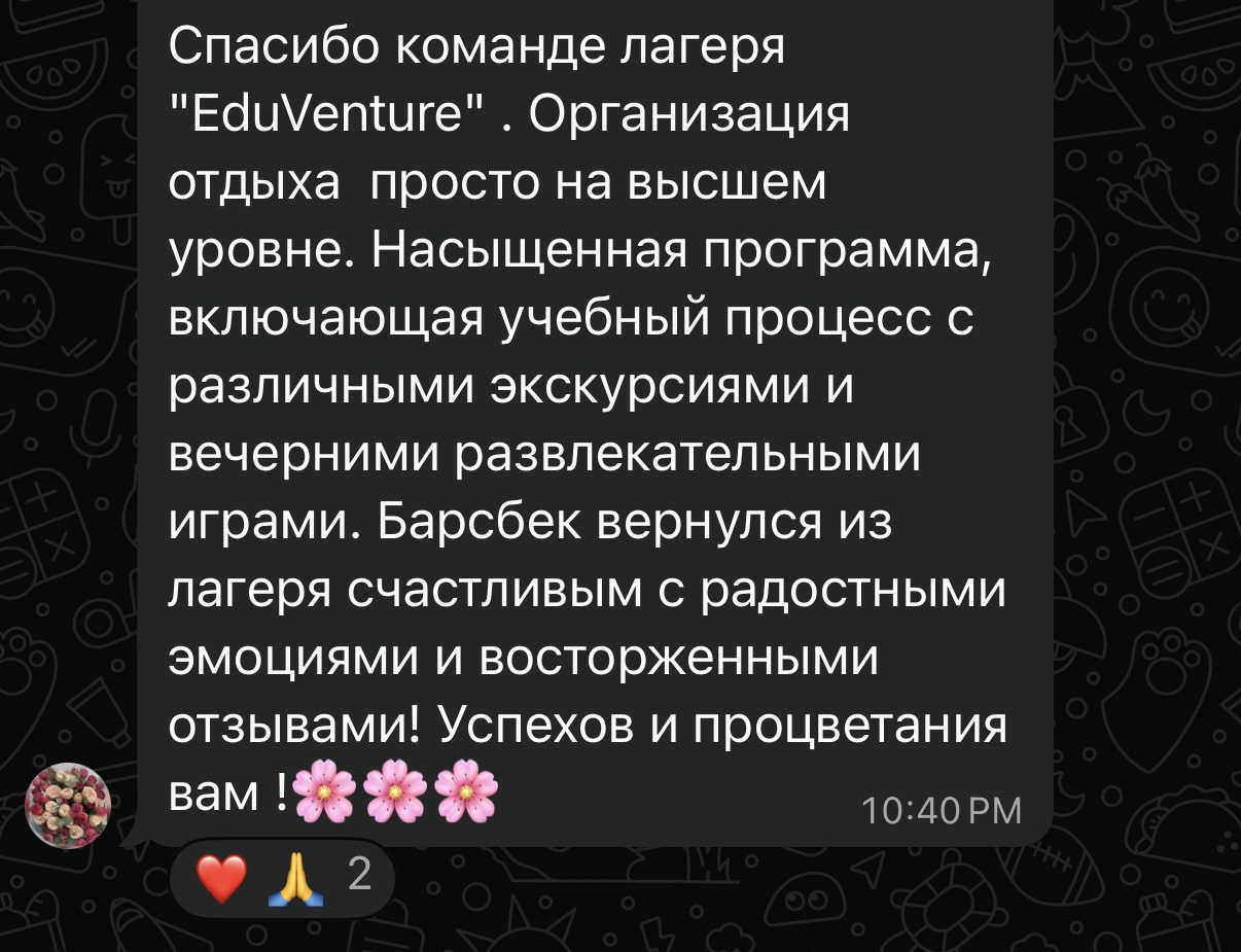 Отзыв о летней программе EduVenture